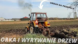 ★Ursus na przepale★ Emisja spalin 100🤯 orka 2022 i wyrywanie drzew😲✓ [upl. by Mikkanen]