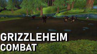 Wizard101 OST Grizzleheim  Combat [upl. by Noby]