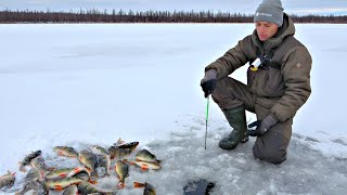 ТОННЫ РЫБЫ ВМЕСТО ДНА ЭТО МЕСТО ЗНАЮТ ТОЛЬКО МЕДВЕДИ и МЕСТНЫЕ Проверка ночных жерлиц [upl. by Drescher432]