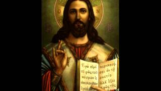 St Basil Liturgy including Gospel  Coptic Orthodox  Fr Antonious Tanious  English [upl. by Airb727]