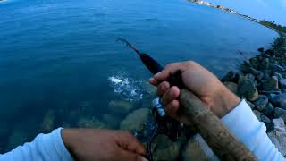 One day of fishing on the Matanzas inlet [upl. by Shurlocke]