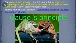 Gauses principle of competitive exclusion [upl. by Trauner]