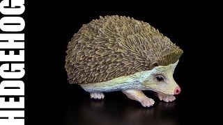 Safari Ltd ® Hedgehog  Igel  360° [upl. by Orella]