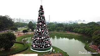 Vista aérea Árvore de Natal do Parque Ibirapuera  drone footage Christmas Tree  São Paulo [upl. by Luke188]