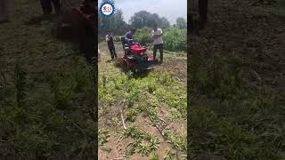 Mini Tracked Tractor Equipped with Lawn Mower for Sale [upl. by Bowlds]