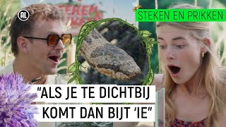 GEBETEN DOOR EEN SLANG  Steken en Prikken  S3 9  NPO Zapp [upl. by Meletius]