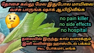 தோசைகல்லு மேல இதுபோல மாயிலை வச்சுபாருங்க ஹாஸ்பிடல் பக்கம்கூட போகமாட்டீங்கinstant painrelief at home [upl. by Zanlog]