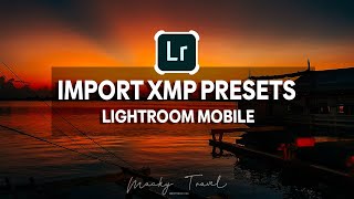 How to ImportInstall your favorite XMP Presets to Lightroom Mobile iOSAndroid [upl. by Ile]