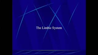 Introduction to Psychology The Limbic System [upl. by Iosep]