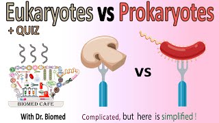 Eukaryotes vs Prokaryotes [upl. by Eerak]