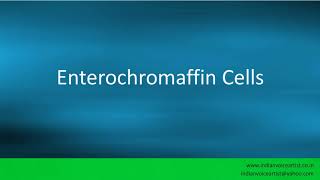 Pronunciation of the words quotEnterochromaffin Cellsquot [upl. by Ciccia]