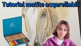 tutorial come disegnare con le matite acquarellabili🖌️✏️ [upl. by Nospmas]