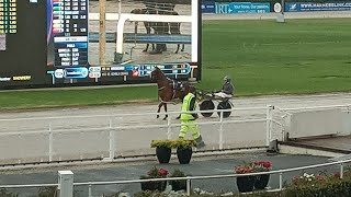 Trotting Horse Races at Alexandra Park Raceway in [upl. by Yblok]