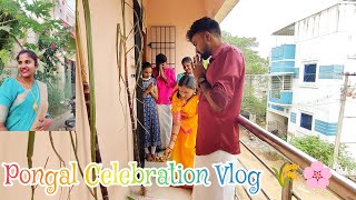 Pongalo Pongal Celebration Vlog ✨🥳 poojaskitchen pongal celebration [upl. by Cicily]