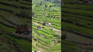 Heaven place on Earth talaga ito Mayoyao Ifugao Rice Terraces instrumental nature travel [upl. by Nivrek567]