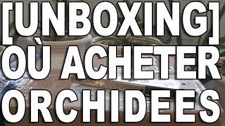 UNBOXING Les meilleurs endroits pour acheter vos orchidées [upl. by Drofnats]