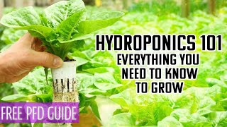 Hydroponics 101  A BEGINNERS GUIDE TO EVERYTHING YOU NEED AND NEED TO KNOW TO GROW PLANTS IN WATER [upl. by Aihsia]