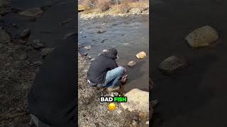 Catching a releasing some trout during a roadtrip catchandrelease fishing trout troutfishing [upl. by Enalda398]