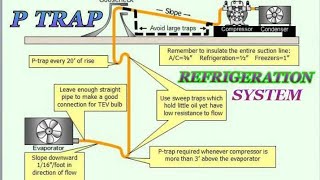 how p trap works  p trap installation  refrigeration system [upl. by Marlie294]