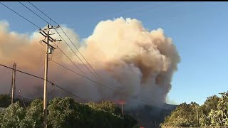 Siguen esfuerzos para controlar el Incendio Mountain en el condado de Ventura [upl. by Rizika]