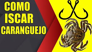 ✅ Como Iscar 🎣 Caranguejo 🦀 [upl. by Iat]