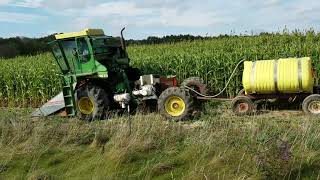 Rolling Meadows Sorghum Harvest  Fall 2017 [upl. by Nashoma339]