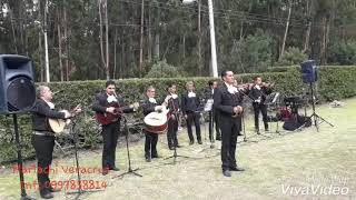 Mariachis en Cuenca  Yo te Extrañaré  Mariachi Veracruz [upl. by Farhi330]