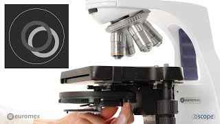 Euromex bScope phase contrast EN [upl. by Conlen]