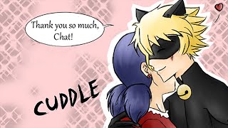 quotLadynoir Fancomicquot Miraculous Ladybug Comics  Comics Dub Compilation [upl. by Casavant]