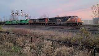 CN M305 with NBSR 913 NBSR 917 NBSR 911 at Oshawa West  November 5th 2024 [upl. by Maller661]