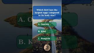 General knowledge quiz part 107 generalknowledge generalknowledgequiz challenge quiz gk trivia [upl. by Marolda754]