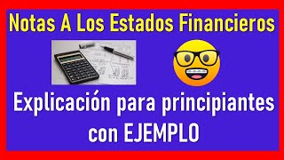 NOTAS A LOS ESTADOS FINANCIEROS [upl. by Lalat]