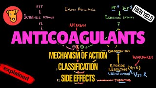 ANTICOAGULANTS Mechanism of action Side effects Pharmacology of Blood clotting [upl. by Rola]