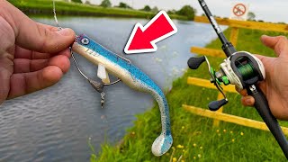 Canal Pike Fishing with WEEDLESS Lures [upl. by Susy373]