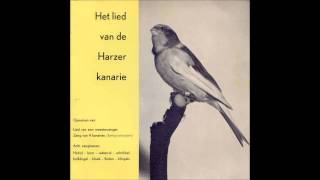 De Harzer Kanarie [upl. by Tteltrab]