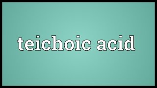 Teichoic acid Meaning [upl. by Aras]