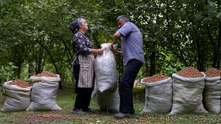 🌰 Garden Fresh Picking Hazelnuts and Preparing Hazelnut Butter Outdoors [upl. by Ylrehs]