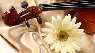 CASATE CONMIGO COVER VIOLIN BY ELVIA HINCAPIE MUSICA PARA EVENTOS [upl. by Shimkus]