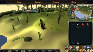 How to catch shadow jadinkos runescape 2013 [upl. by Ydnem]