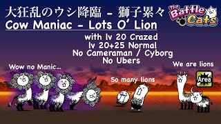 Battle Cats Cow Maniac Lots O Lion  No Manic Cats！ Manic Lions Review！ [upl. by Om]