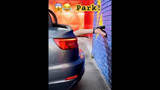 Parking skills 😱 funny car funnyvideo skills epic epicpartner couple couplegoals park [upl. by Maegan]