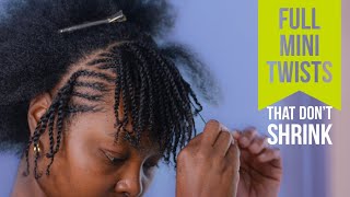 Mini twists with a twist Achieve fullerlooking mini twists Mini twists on short natural hair [upl. by Carmita]