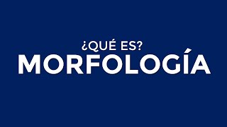 ¿Qué es la MORFOLOGÍA [upl. by Yc]