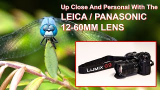 THE LEICAPANASONIC 1260MM LENS Shooting macro photos with the Panasonic Lumix G9 [upl. by Accemahs]