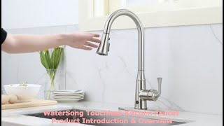 WaterSong Touchless Kitchen Faucet  Product Introduction amp Overview [upl. by Moises986]