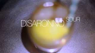 Disaronno Sour [upl. by Idnat729]