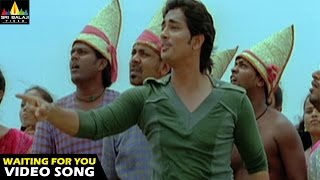 Oye Songs  I am waiting Video Song  Telugu Latest Video Songs  Siddharth  Sri Balaji Video [upl. by Ellehcear922]