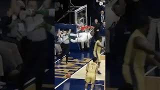 throwing it back to Jerian Grant making Purcell his playground GoIrish shorts [upl. by Kinch]