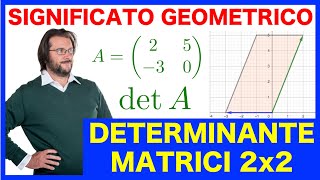 Determinante di matrici 2x2 significato geometrico [upl. by Nial]