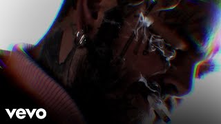 Post Malone  Lemon Tree Official Lyric Video [upl. by Gerladina]